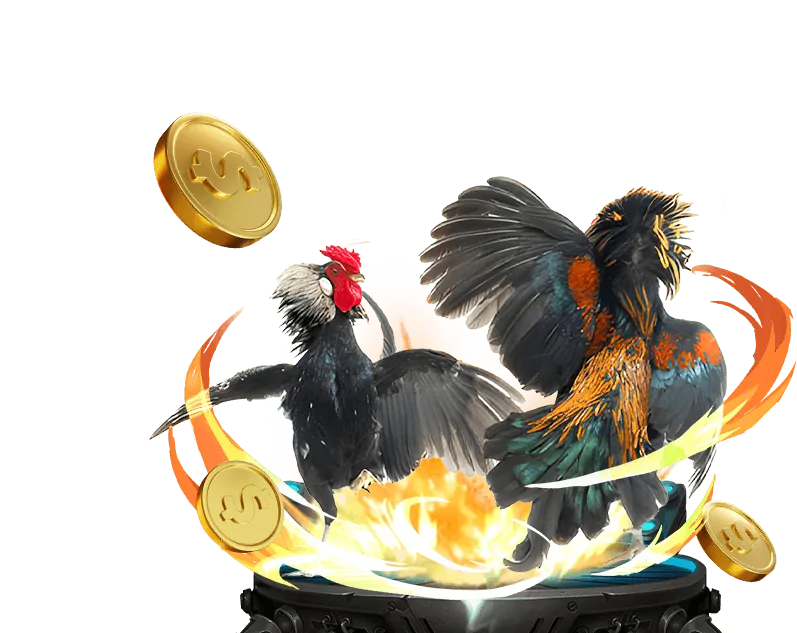 Ưu đãi chào mừng 2bong